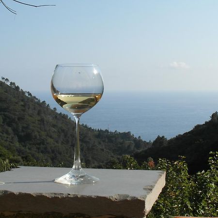 Agriturismo Costa Di Campo Vernazza Eksteriør billede