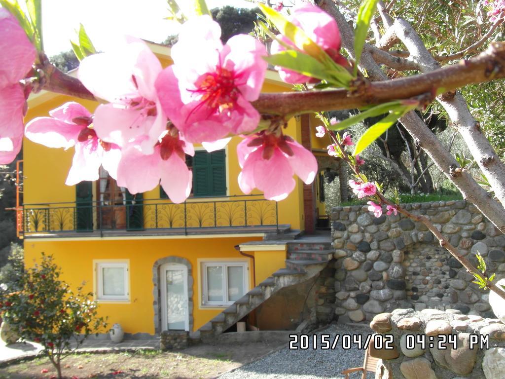 Agriturismo Costa Di Campo Vernazza Eksteriør billede