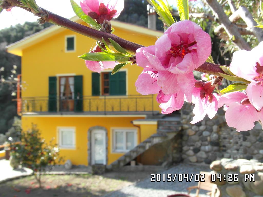 Agriturismo Costa Di Campo Vernazza Eksteriør billede