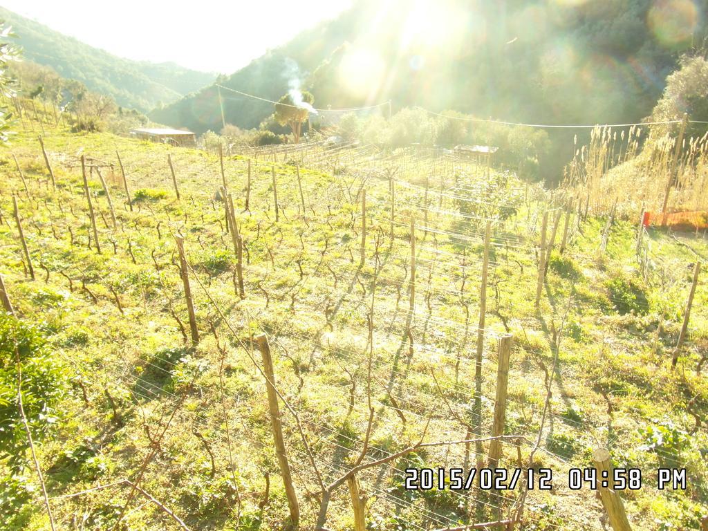 Agriturismo Costa Di Campo Vernazza Eksteriør billede