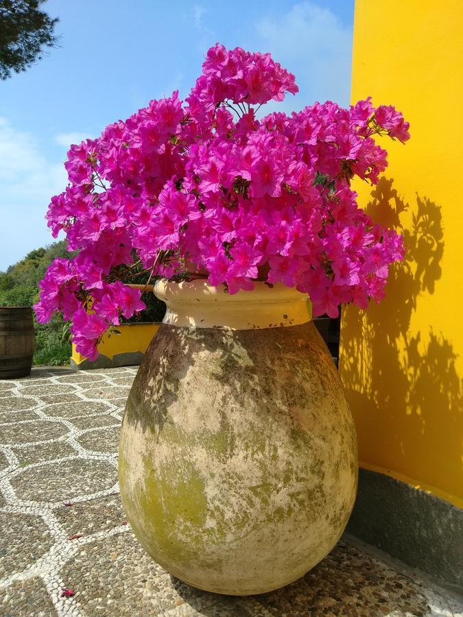 Agriturismo Costa Di Campo Vernazza Eksteriør billede