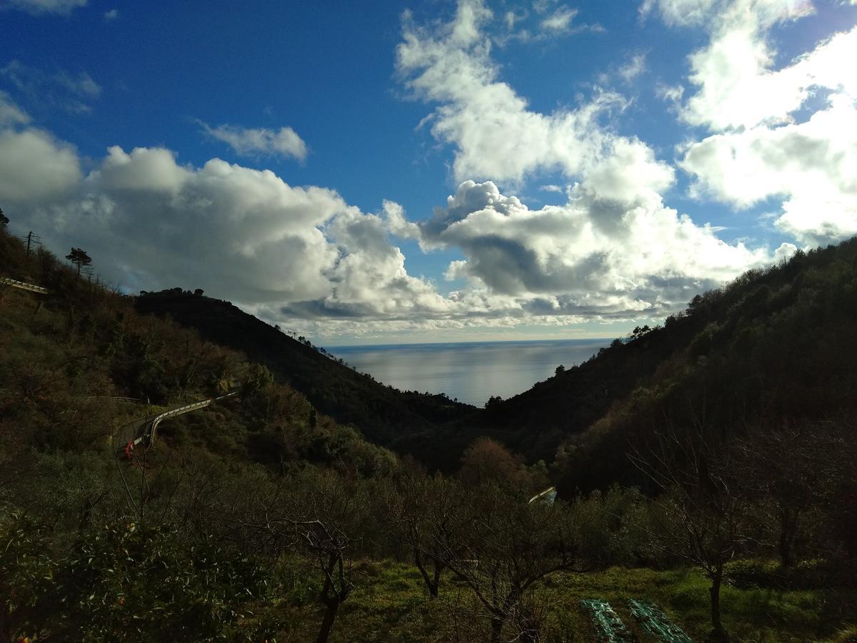 Agriturismo Costa Di Campo Vernazza Eksteriør billede