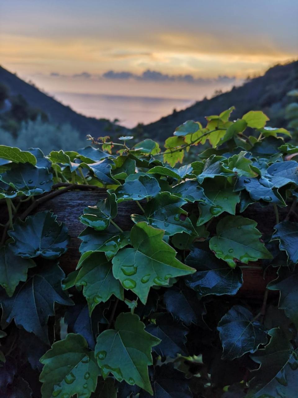 Agriturismo Costa Di Campo Vernazza Eksteriør billede