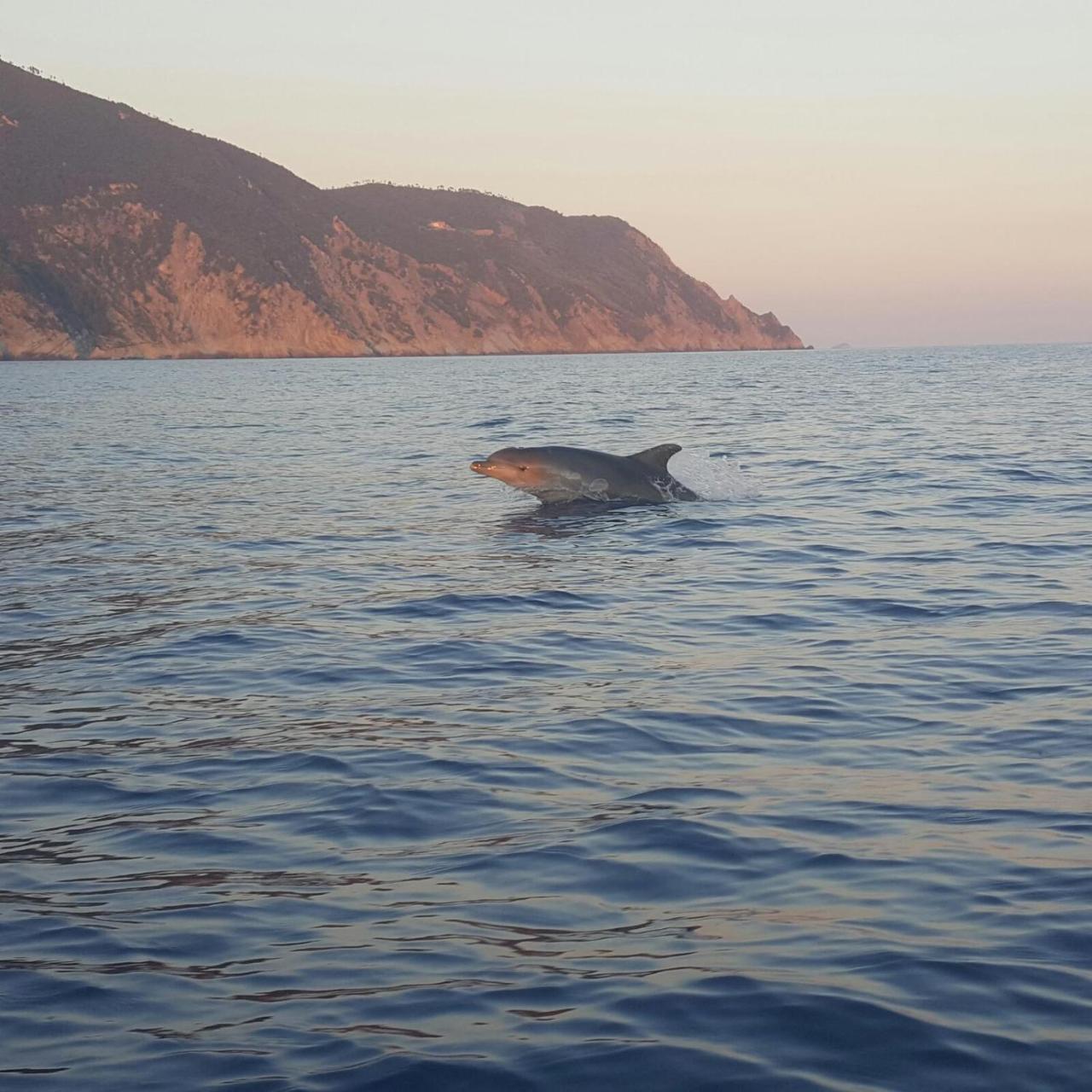 Agriturismo Costa Di Campo Vernazza Eksteriør billede