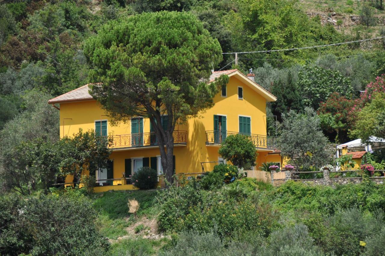 Agriturismo Costa Di Campo Vernazza Eksteriør billede