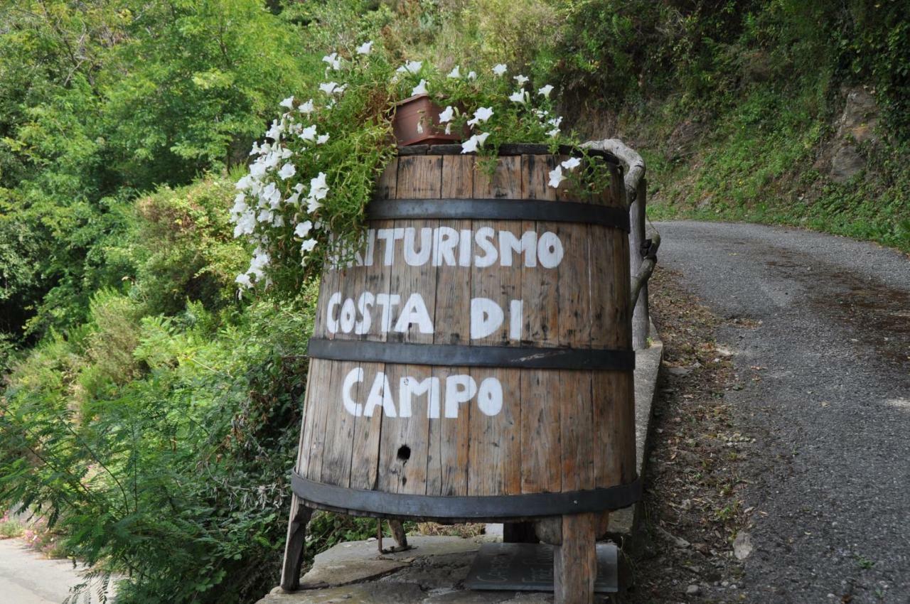 Agriturismo Costa Di Campo Vernazza Eksteriør billede