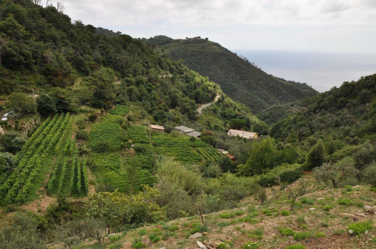 Agriturismo Costa Di Campo Vernazza Eksteriør billede